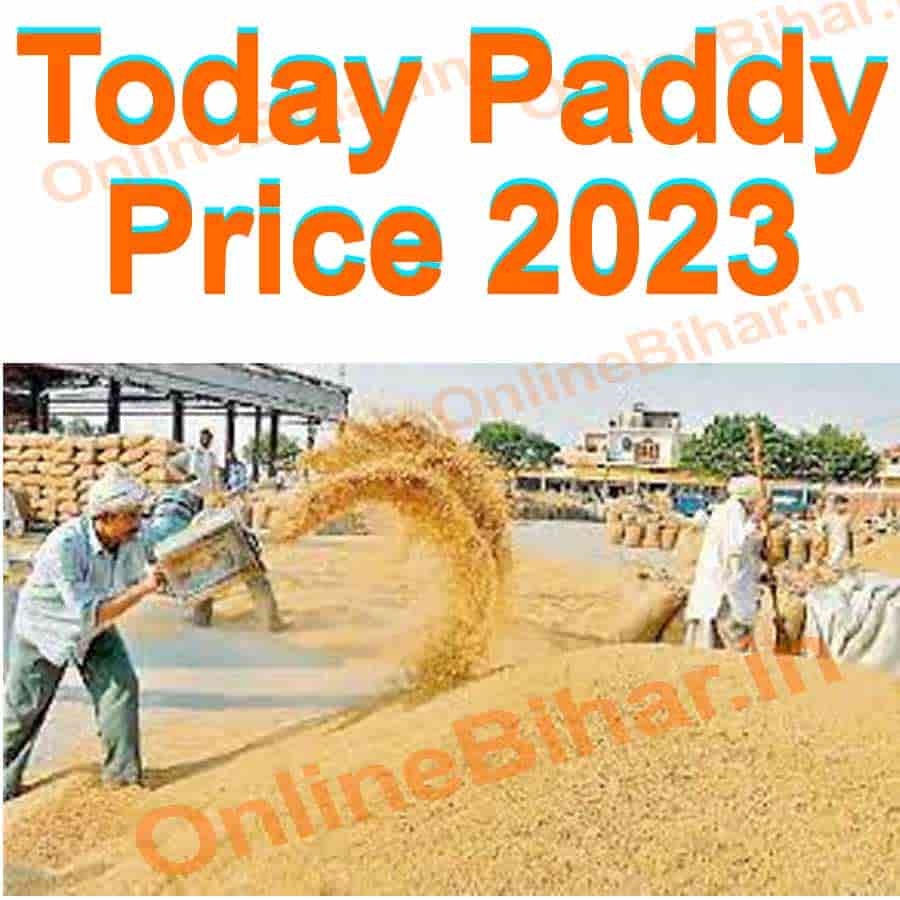 Paddy Price In Bihar 2023