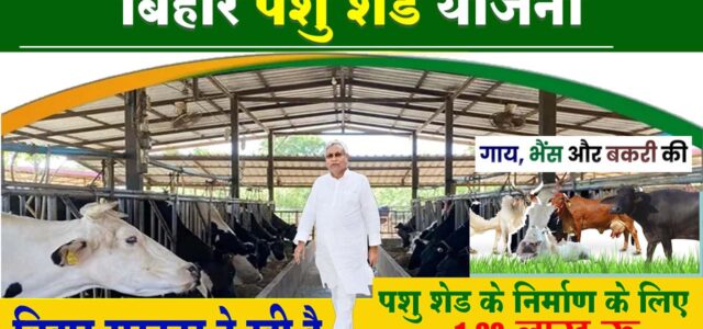Bihar Pashu Shed Yojana 2024