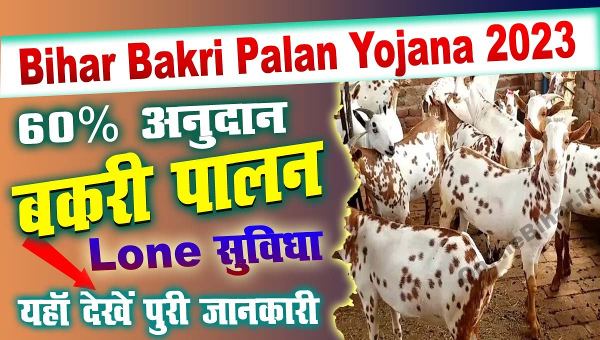 Bihar Bakri Palan Yojana