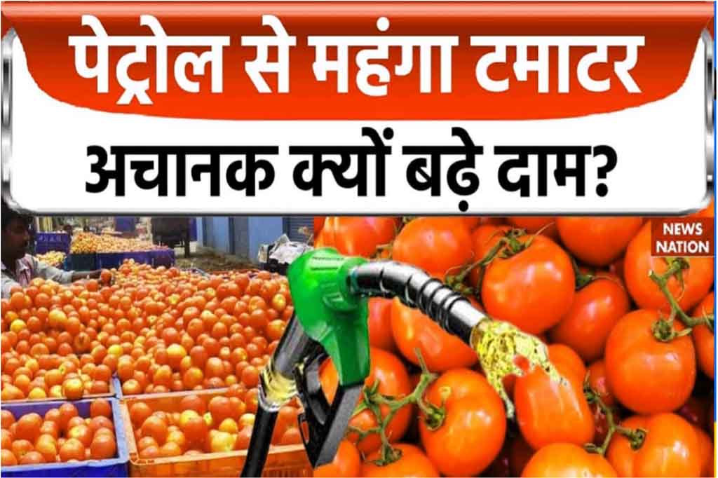 Tomato price in india