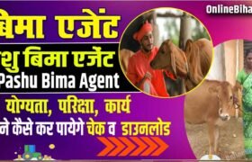 Pashu Bima Agent